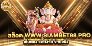 สล็อต-www-siambet88-pro-เว็บตรง-แตกง่าย-จ่ายจริง